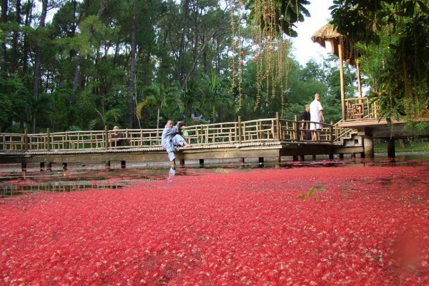 HÀ NỘI – XỨ HUẾ MỘNG MƠ – HÀ NỘI 3N2Đ