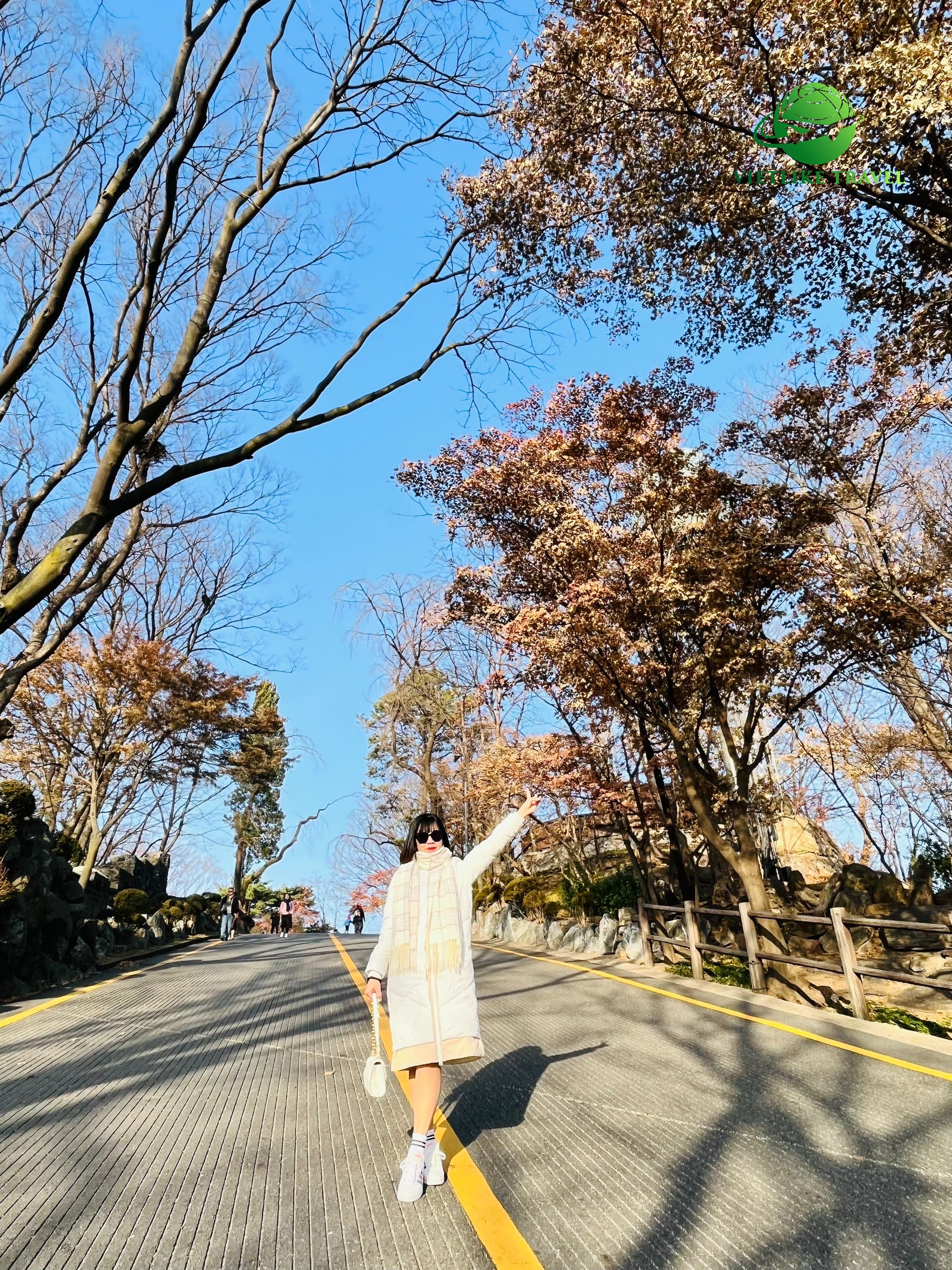 Vietlike Travel - Đoàn Kosy du lịch Hàn Quốc 2023