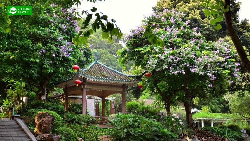 vietlike-travel-tour-hongkong-tham-quyen-quang-chau-cong-vien-viet-tu