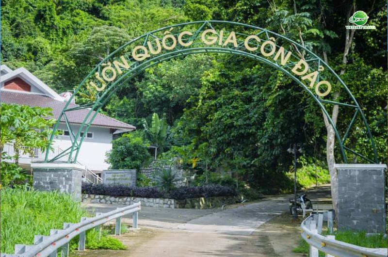 Vườn Quốc gia Côn Đảo