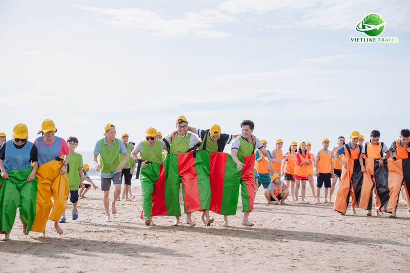 Vietlike Travel - Tour doanh nghiệp, tổ chức sự kiện chuyên nghiệp