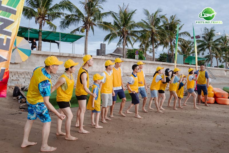 Vietlike Travel - Tour doanh nghiệp, tổ chức sự kiện chuyên nghiệp