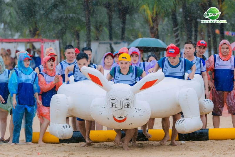 Vietlike Travel - Thiết kế tour và tổ chức sự kiện chuyên nghiệp cho Sunhouse