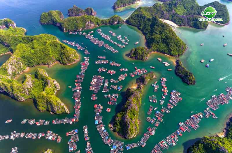 Tour Cát Bà - Vịnh Lan Hạ (2N1Đ)