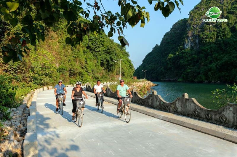 Một trải nghiệm thú vị khi du lịch Cát Bà