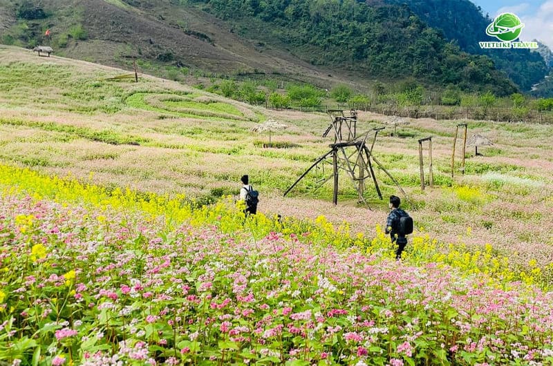 Tour Đông Tây Bắc: Điện Biên - A Pa Chải - Mường Phăng (4N3Đ)