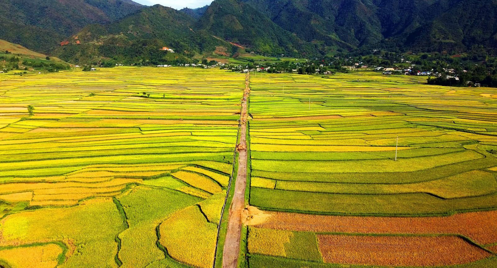 Tour Đông Tây Bắc: Mù Cang Chải - Đèo Khau Phạ - Tú Lệ - Trạm Tấu (3N2Đ)