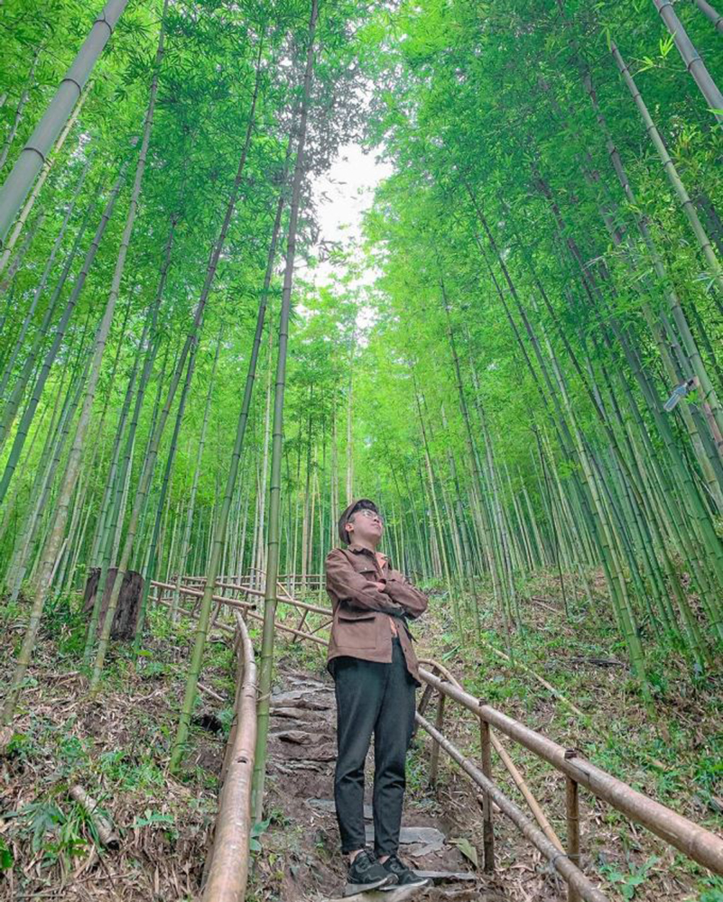 Tour Đông Tây Bắc: Mù Cang Chải - Đèo Khau Phạ - Tú Lệ - Trạm Tấu (3N2Đ)