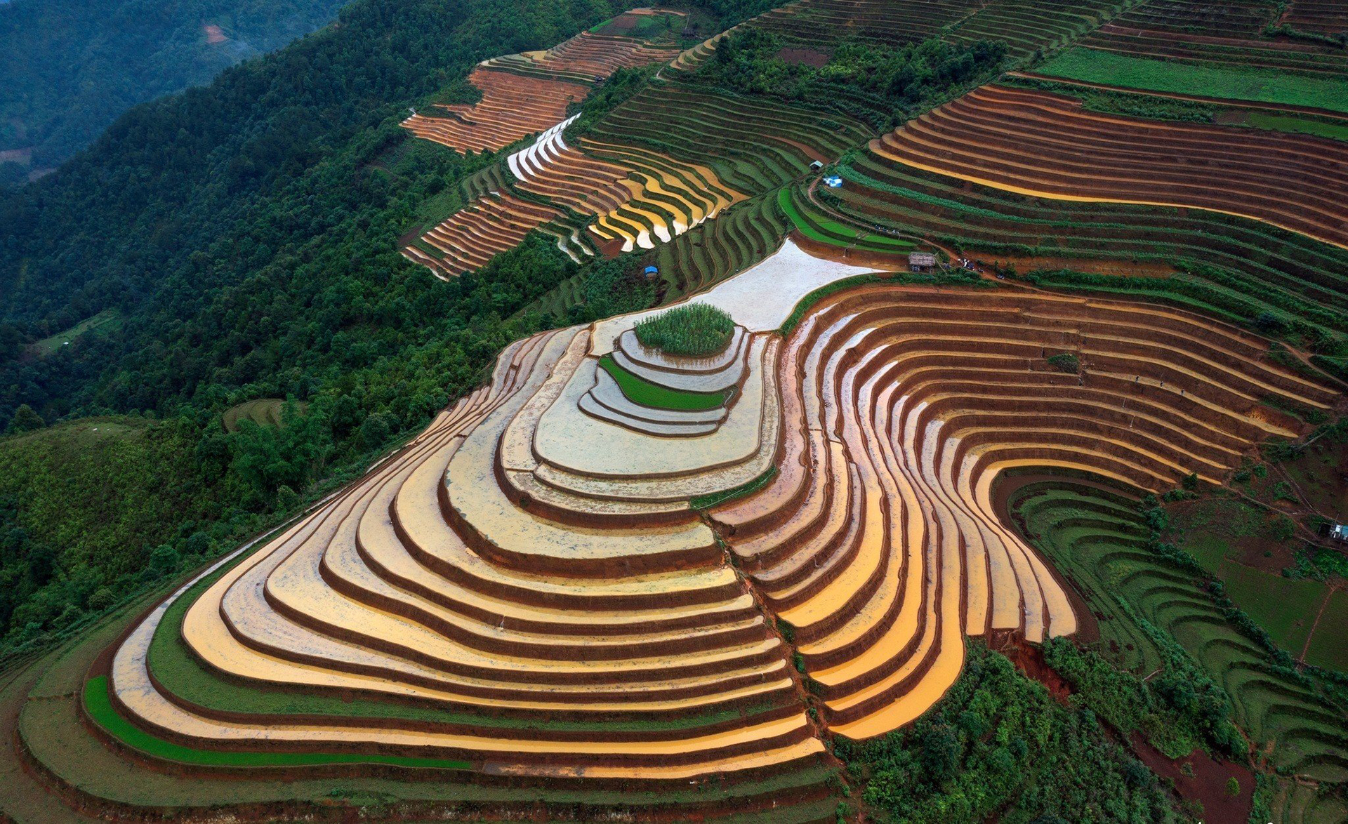 Tour Đông Tây Bắc: Mù Cang Chải - Đèo Khau Phạ - Tú Lệ - Trạm Tấu (3N2Đ)