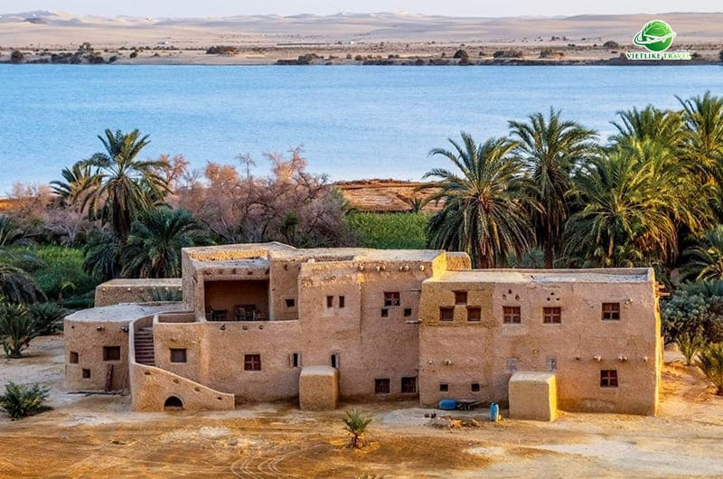 Ốc đảo Bahariya