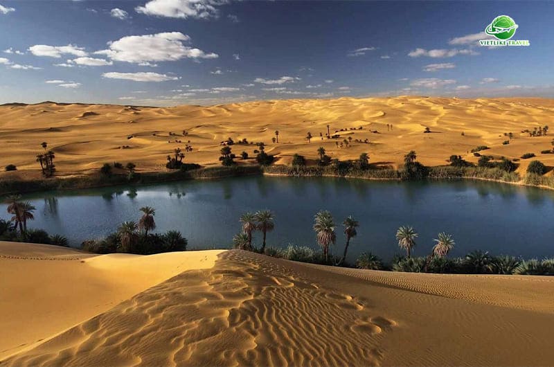 TOUR AI CẬP (9N8Đ)