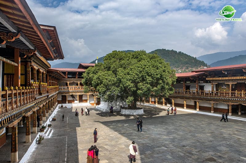 TOUR BHUTAN: KHÁM PHÁ ĐẤT NƯỚC \