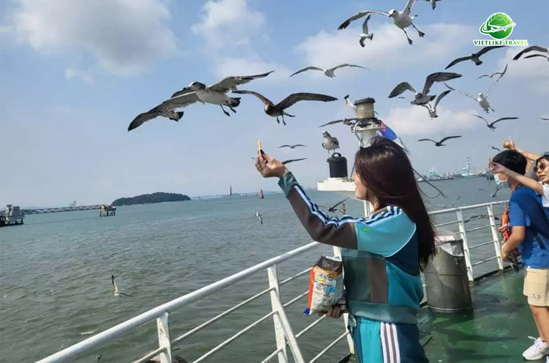 TOUR HÀN QUỐC: HÀ NỘI - SEOUL - NAMI - EVERLAND - PAINTER SHOW - ĐI PHÀ CHO HẢI ÂU ĂN (5N4Đ)