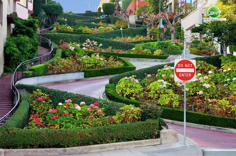 Đường hoa Lombard độc đáo