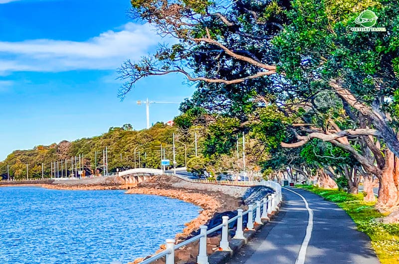 Tamaki Drive - Một trong những điểm du lịch New Zealand thơ mộng