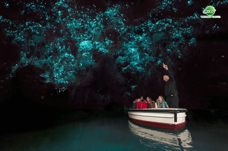 Waitomo Glowworm Caves