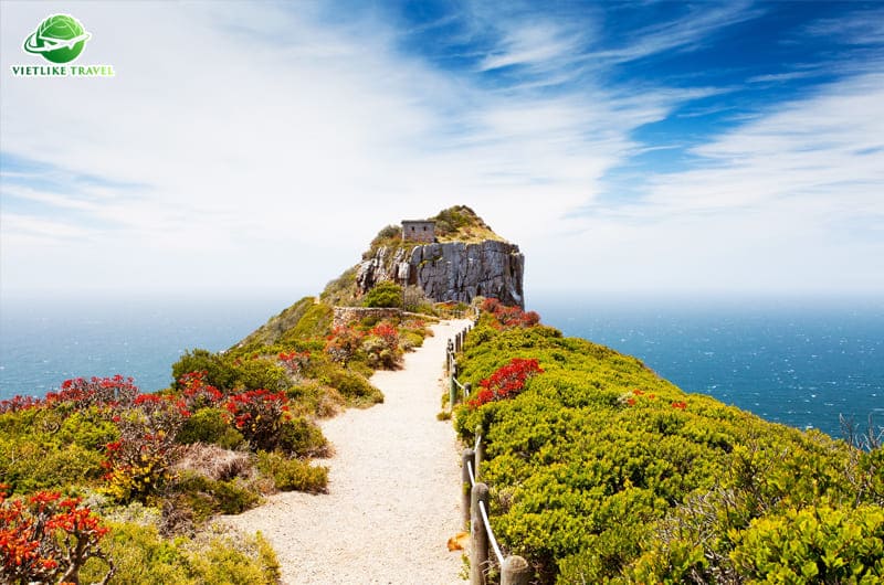 Ngắm cảnh tại Cape Town - Du lịch Nam Phi