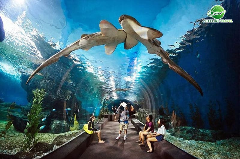Thủy cung Sea Life Bangkok Ocean World