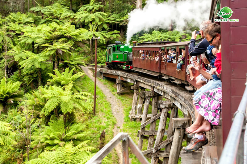 Trải nghiệm tuyệt vời khi du lịch Úc với tàu lửa hơi nước Puffing Billy