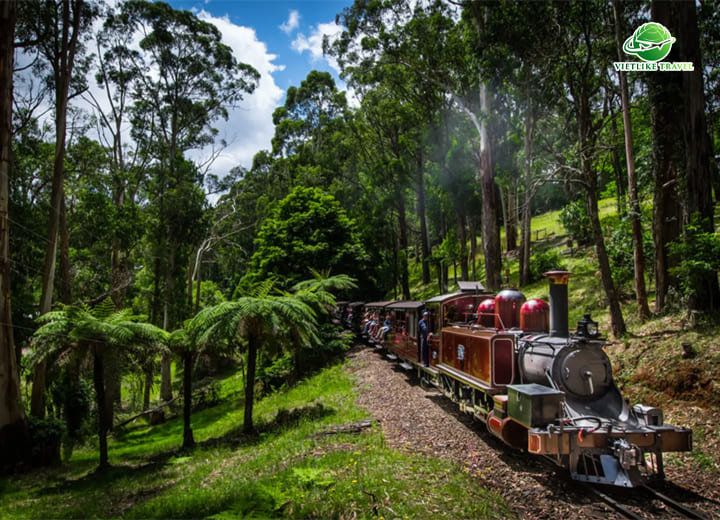 TOUR ÚC: HÀ NỘI - SYDNEY - CANBERRA - MELBOURNE (7N6Đ)